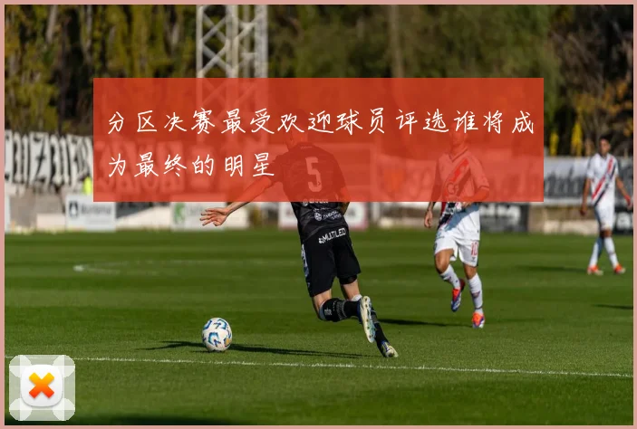 分区决赛最受欢迎球员评选谁将成为最终的明星
