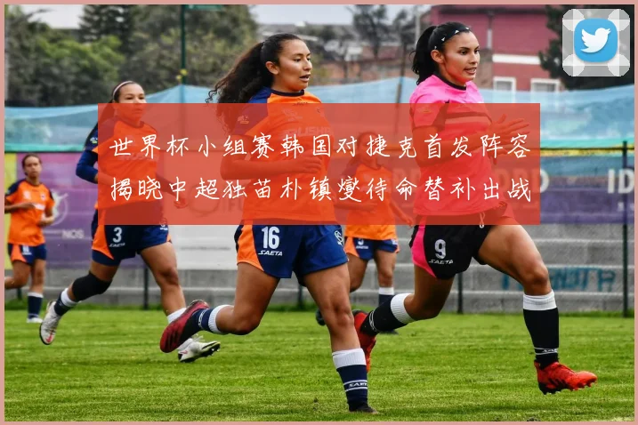 世界杯小组赛韩国对捷克首发阵容揭晓中超独苗朴镇燮待命替补出战